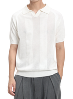 Men's Short Sleeve Vertical Pattern Polo Shirt