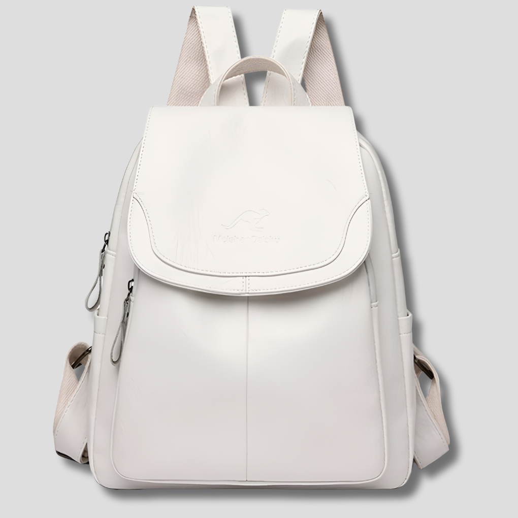 Women's Multiple Compartment Minimalist Bag